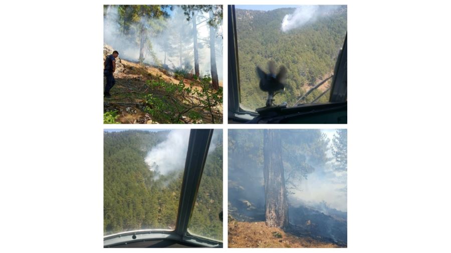 Horzum’da orman yangını
